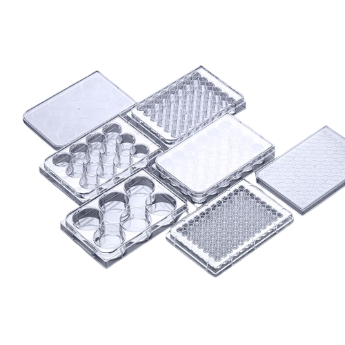Cell Culture Plates