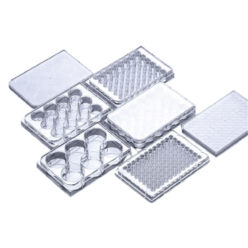 Cell Culture Plates_PP