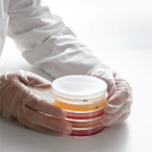 Cell Culture Dish_PP