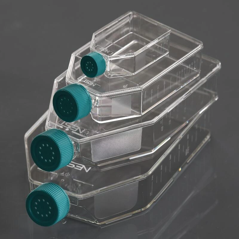 Cell Culture Flask_PP