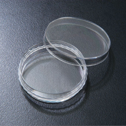 Cell Floater_PP